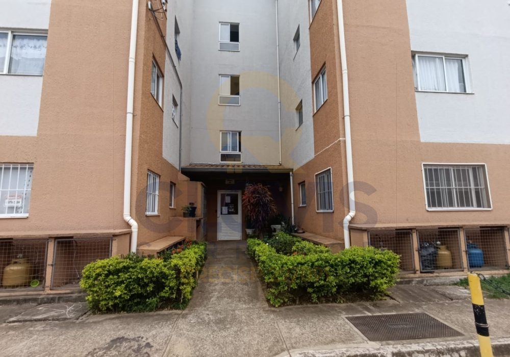 WhatsApp Image 2026-03-31 at 19.22.14